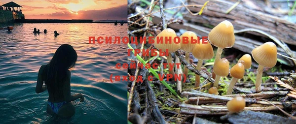 соль ск Алексеевка