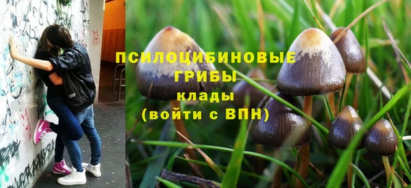 ГАЛЛЮЦИНОГЕННЫЕ ГРИБЫ Заволжск