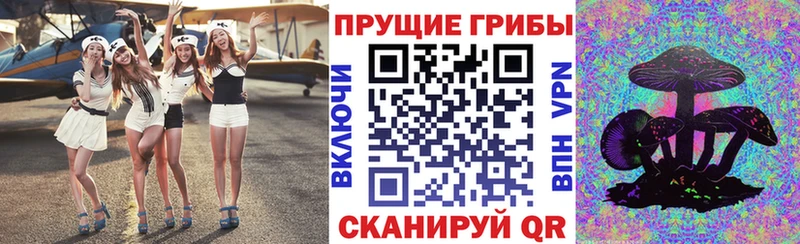 купить закладку  Воткинск  Псилоцибиновые грибы MAGIC MUSHROOMS 