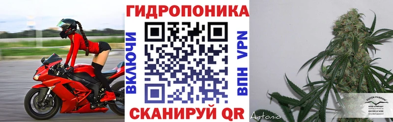 МЕГА маркетплейс Воткинск Конопля SATIVA & INDICA